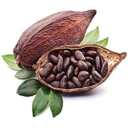 Cocoa Bean Oil - Wholesale