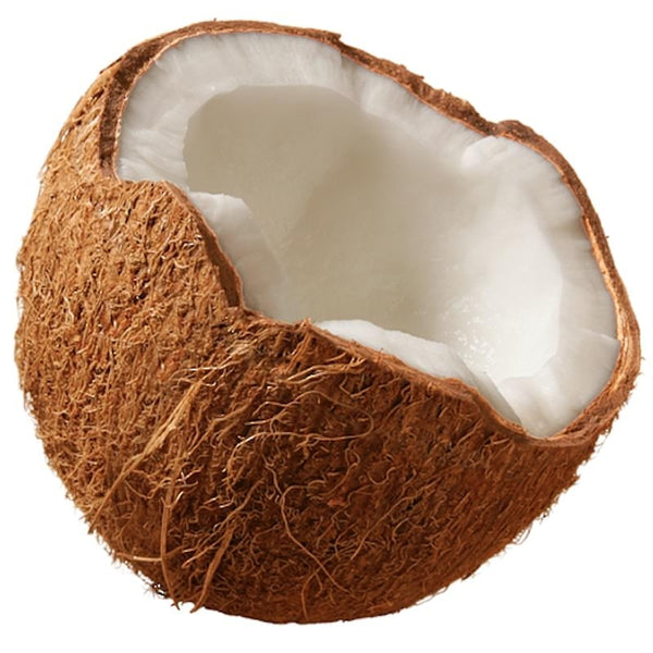 Coconut Oil - Wholesale