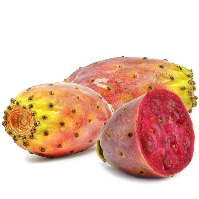 Prickly Pear Seed Oil - Wholesale