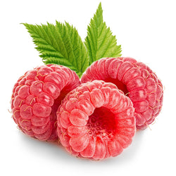 Red Raspberry Seed Oil - Wholesale