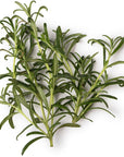Rosemary Essential Oil - Wholesale